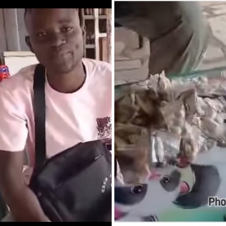 PhotoGrid_Site_1762928436620